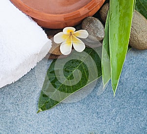 Spa tropical flower and towel with stones and water bowl.