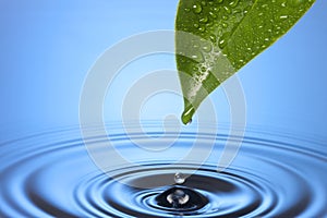 Lázně voda pokles list vlnky 