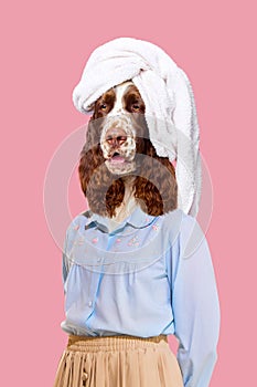 Spa and wellness centers focusing on pets. Purebred dog with bath towel on head standing on pink background. Spa