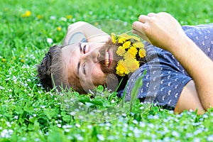 Spa and wellness concept. Bearded man with dandelion flowers lay on meadow, grass background. Man with beard on smiling