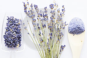 Spa and wellness setting with lavender flowers, sea salt, oil in a bottle, aroma candle on wooden white background