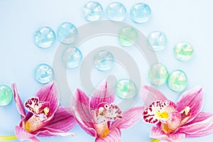 Spa and wellness setting with orchid flower, glass drops on wooden blue background closeup top view