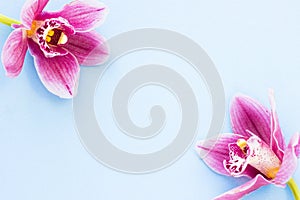 Spa and wellness setting with orchid flower, oil on wooden blue background closeup top view