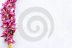 Spa and wellness setting with orchid flower, oil on wooden white background closeup top view