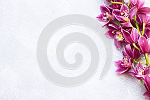 Spa and wellness setting with orchid flower, oil on wooden white background closeup top view