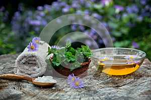Spa and wellness setting with sea salt, oil essence, flowers and towels isolated. Relax and treatment therapy photo