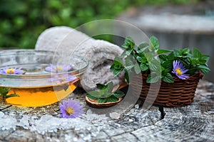 Spa and wellness setting with sea salt, oil essence, flowers and towels isolated. Relax and treatment therapy photo