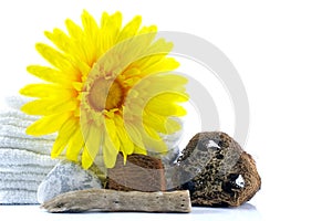 Spa and wellness setting with towel, gerbera, wooden parts, natural loofah sponge on white background