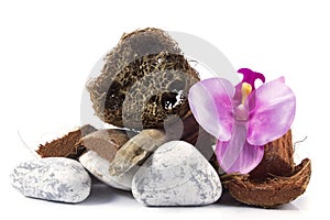 Spa and wellness setting with towel, orchid, wooden parts, natural loofah sponge on white background