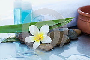 Spa or wellness setting with tropical Oil and flower