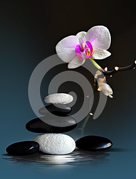 Spa Zen Arrangement