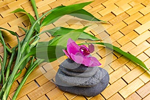 Spa, zen, massage, relaxation concept. Bamboo leaves, black stones, purple orchid on wood background