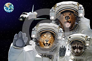 Space is available to all. Bear, raccoon and lion in space against the background of the space shuttle and the planet Earth.