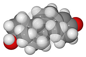 Space-filling model of testosterone molecule