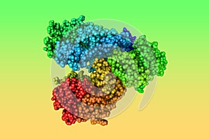 Space-filling molecular model of anthrax toxin lethal factor. Rendering based on protein data bank entry 1j7n. Rainbow photo