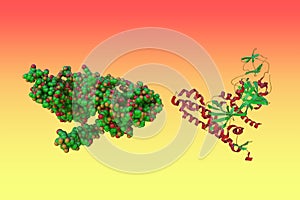 Space-filling molecular model and crystal structure of the prefusion form of measles virus fusion protein. Medical photo