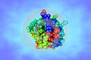 Space-filling molecular model of fibroblast growth factor 4 (FGF4) on blue background. Rendering based on
