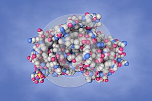 Space-filling molecular model of human fibroblast growth factor 20 dimer on blue background. Rendering based on protein