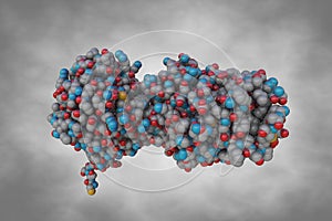 Space-filling molecular model of human intelectin-1. Atoms are represented as spheres with color coding: carbon (grey photo