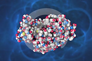 Space-filling molecular model of human pepsin 3b. Scientific background. 3d illustration