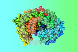 Space-filling molecular model of human pepsin and its complex with pepstatin, the enzyme that digest food proteins into