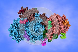 Space-filling molecular model of human prostatic acid phosphatase, biomarker of prostate cancer. 3d illustration photo