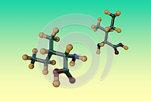 Space-filling molecular model of l-isoleucine or isoleucine, an amino acid used in the biosynthesis of proteins photo