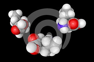 Space-filling molecular model of l-isoleucine. Atoms are represented as spheres with conventional color coding: carbon