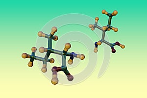 Space-filling molecular model of l-isoleucine or isoleucine, an amino acid used in the biosynthesis of proteins