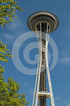 Space Needle with a lift framed by tree in Seattle