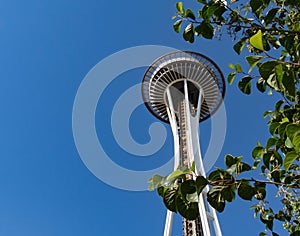 Space Needle Sky