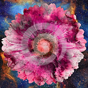 Space and stars with flower, color galaxi background, computer collage.