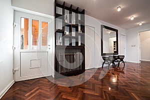 Spacious anteroom interior with large mirror and shiny brown par
