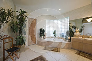 Spacious Bathroom At Home