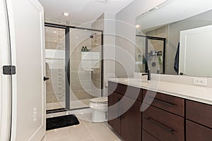 Spacious bathroom interior, featuring a large wall mirror, a modern vanity sink, and a toilet