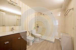 Spacious cloakroom with square frameless mirror, glass-enclosed shower stall and white toilets