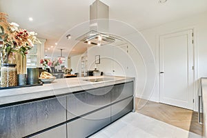 Spacious kitchen design
