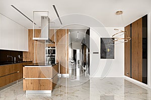 Spacious kitchen with island and wooden elements