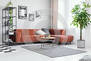 Spacious living room with comfortable brown corner sofa