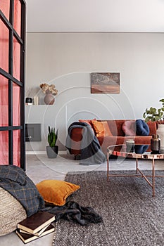 Spacious living room interior divided with a black and red screen