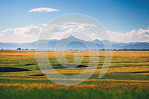 Spacious meadow with grass and the silhouette of mountains in the distance