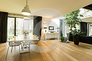 Spacious room with table and plants photo