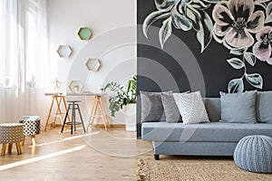 Spacious studio apartment