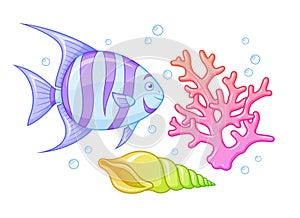 Spadefish with a coral and a seashell. Isolated vector illustration.