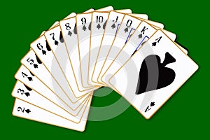 Spades Suit Playing Cards