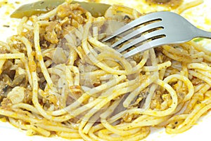 Spagetti Pasta photo