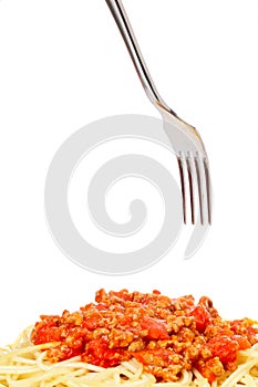 Spaghetti