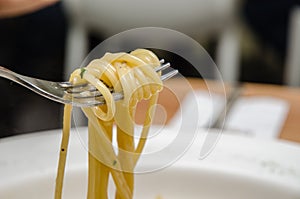 Spaghetti Aglio E Olio photo