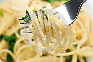 Spaghetti with Bamboo shoot