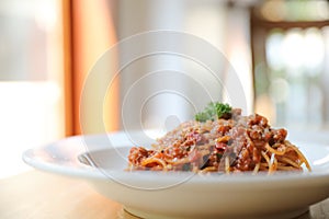 Spaghetti Bolognese with minced beef and tomato sauce garnished with parmesan cheese and basil , Italian food